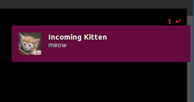Kitten pic